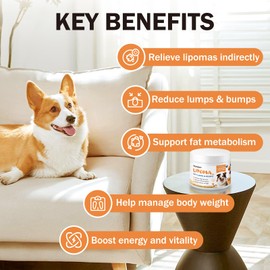 Dog Lipoma Treatment, L-Carnitine Supplement for Dogs, Helps Shrink Fatty Lumps and Bumps Naturally, Boosts Buddy Energy and Vitality, Guard Dogs Overall Wellness to Reduce Lipomas