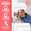 Waggys Super Salmon Oil, Omega 3 para Perros y Gatos,