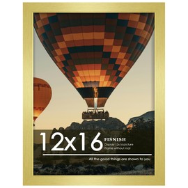 Fisnish 12x16 Frame Gold, Compatible With 30x40 cm Picture Frame Without Mat, Classic Poster Frame for Horizontal or Vertical Wall Mounting, 1 Pack