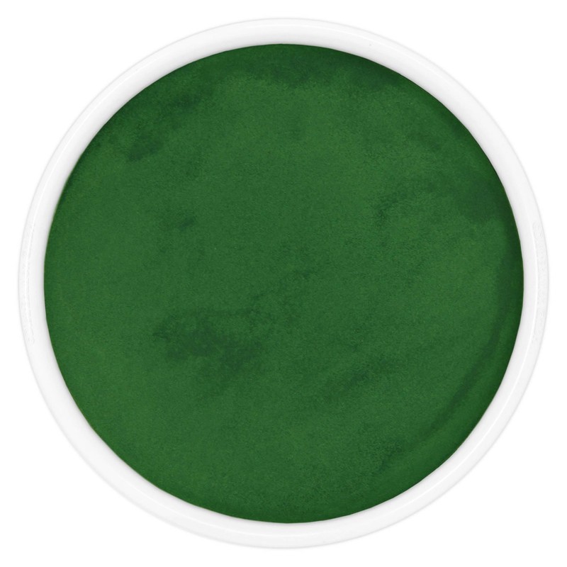 Spirulina Powder 100 g Natural Pure without Additives Superfood Algae