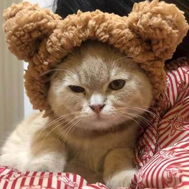 Lopsity Cat Hat with Bear Ears Cute Cat Costume Bear Hat Adjustable Soft Plush Pet Headband Dress up Party Headwear Accessories for Small Puppy Dog Kitten (Brown)