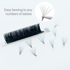 SuperEyedol Easy Fan 0.07mm Eyelash Extension Professional Supplies J,B,C,CC,D,DD Curl