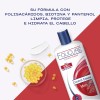 FOLICURE Shampoo Control Caspa Men 2 en 1 con Biotina