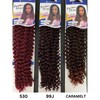 Freetress Braid Crochet Hair - Water Wave Bulk 22" -
