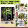 DUSPRO Recycle Citrus Tree Potting Soil Mix for Potted Lemon