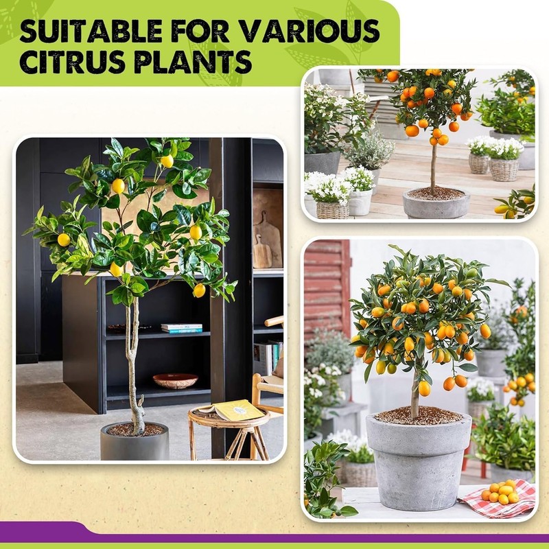 DUSPRO Recycle Citrus Tree Potting Soil Mix for Potted Lemon