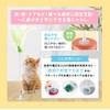 CHIPP'S Cat Delight Fuzzy Pom Pom 2 Kittens Feather Toy,