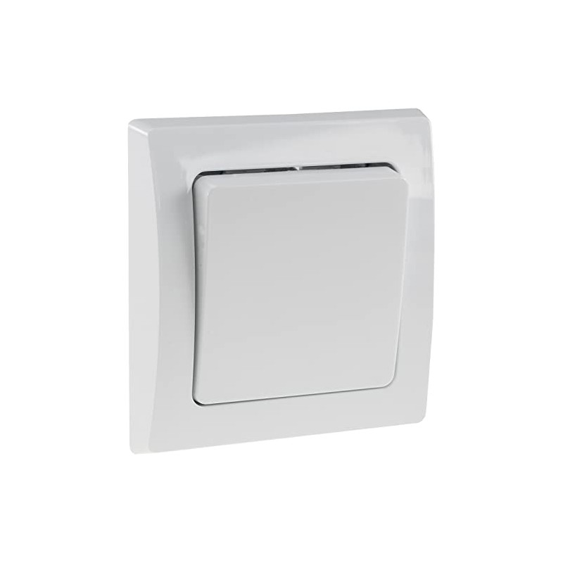 DELPHI switch ~ 250V / 10A, incl. frame, UP, white