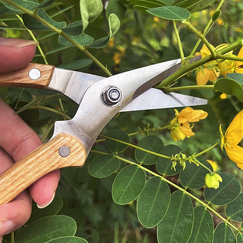 BUGUI Wood Handle Garden Shears, Long Straight Tip, All Steel