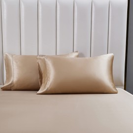 LCBD Satin Pillowcase Queen Size for Hair and Skin, Taupe Silk Satin Pillowcases Set of 2, Satin Cooling Pillow Covers with Envelope Closure, 20x30 Inches