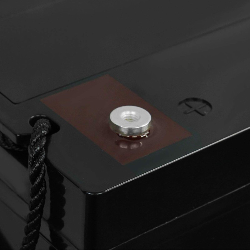 Mighty Max Battery 12V 100Ah SLA Battery for Ever Green