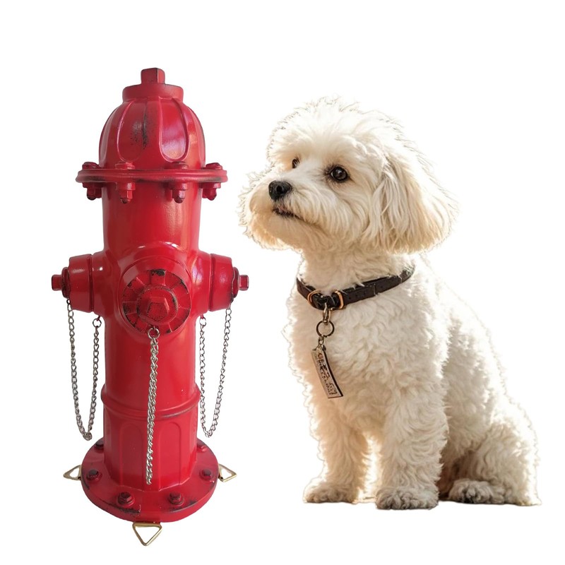 SHGYIBRISK Fire Hydrant for Dogs to Pee On: Dog Fire
