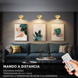 HORKEY Lámpara para Cuadros Paquete de 3, 13 RGB Color Led Magnético para Cuadros de Arte, Lámpara de Pintura Inalámbrica con Mando a Distancia, Decoración de Pared para Fiestas (Dorado-RGB)