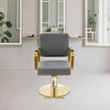 Barber Salon Chair, 360° Swivel, Stainless Steel, 440lbs Load