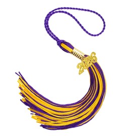 2026 Tassel Graduation, Purple and Gold Graduation Tassel, 2026 Graduations Cap Tassels, Gradutate Cap Tassels with 2026 Year Gold Charms for Grad Cap Hat Ceremonies Memorial Graduations Decoration