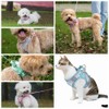 Benala No Pull Harness Leash Set for Dogs Cats -
