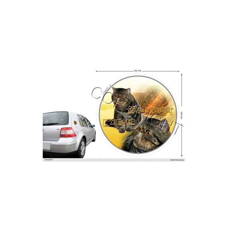 Pets-Easy.com Cats Circular Sticker 15 cm Shortair-Exotic