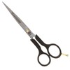 Kiepe 2312 Ergonomix Scissors 61/2", 30 g, 1