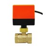 AC220V AC24V DC12V 2-Way Motor Valve Engine Ball Valve DN15