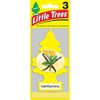 LITTLE TREES Car Air Freshener | Hanging Paper Tree for