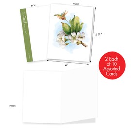 The Best Card Company - 20 Assorted Blank Plant Cards (4 x 5.12 Inch) (10 Designs, 2 Each) - Watercolor Floral Splendor AM7164OCB-B2x10