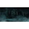 MIRRORANG 61x30cm Dark Scary Aquarium Background Trees Road Mist Horror