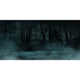 MIRRORANG 61x30cm Dark Scary Aquarium Background Trees Road Mist Horror Night Vinyl Durable Spooky Fish Tank Background