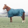 Shires Typhoon 200 Mediumweight Waterproof Turnout Rug - Green