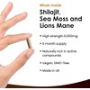 Shilajit Seamoss and Lions Mane Capsules 6000mg - High Strength