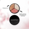 Cheek Palette: Bronzer, Highlighter, Blush Palette for Dewy Skin, Lit