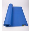 GoFit Non Slip Yoga Mat - Plus Posture Poster