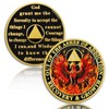 Phoenix in Fire 5 Year Sobriety Coin, Reborn in a