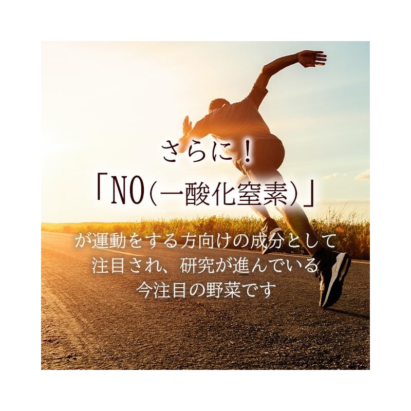 【リプサ公式】 ビーツ 約1か月分 C-530 サプリメント