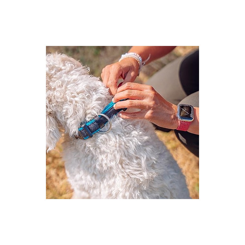 Nobby Preno Mesh Dog Collar, 25-35 cm/15-20 mm, Turquoise