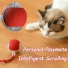 Hot cat toys are automatically teasing cat balls and self-exciting