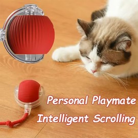 Hot cat toys are automatically teasing cat balls and self-exciting cat sticks and ticks an