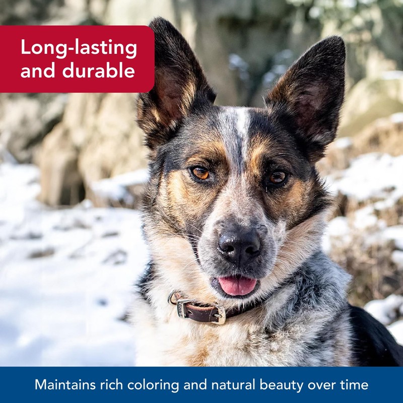 Coastal Pet - Circle T - Latigo Leather Town Dog