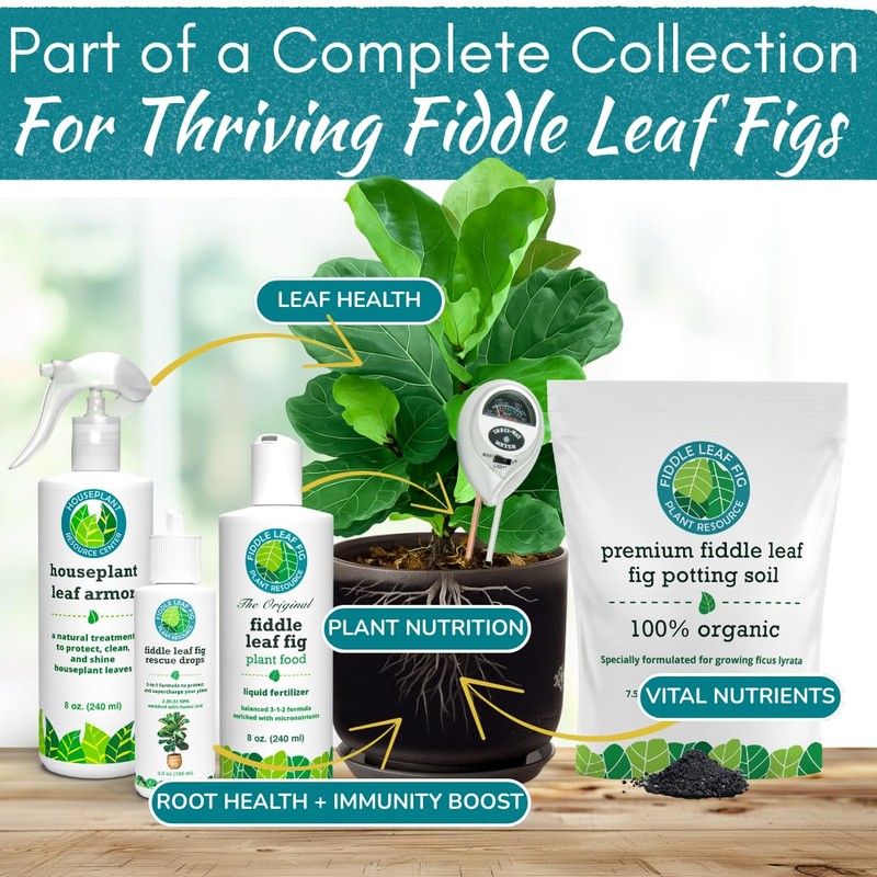 Houseplant Resource Center Fiddle Leaf Fig 3-in-1 Soil Moisture Meter