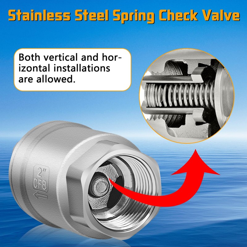 Boltigen 2 inch Spring Check Valve, 304 Stainless Steel CF8