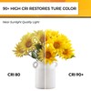 Hizashi 90+CRI Candelabra LED Light Bulbs 60 Watt, 2700K Warm