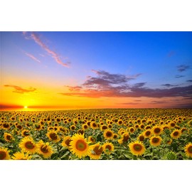 SUPERPOWER® Pack of 1000 Sunflowers Flower Sea Sunset Landscape Adult Wooden Puzzles Toy Family Picture Frame Christmas Birthday Gift