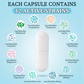 300 Billion CFU Probiotics for Digestive Gut & Immune Health, Advanced Strength Probiotics with 12 Diverse Strains + 3 Prebiotics for Women & Men (60 Count (Pack of 1))