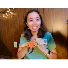 GIANTmicrobes Termite Plush - Learn About This Common Crawler with This Cuddly Plush, Unique Gift for Friends, Family, Educators, Students, and Insect Fans