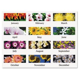 AAG89805 - Recycled Floral Panoramic Desk Pad