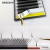 SEEDEW 6D Lash Extensions, 0.07mm C Curl 12mm 12 Rows/Tray,