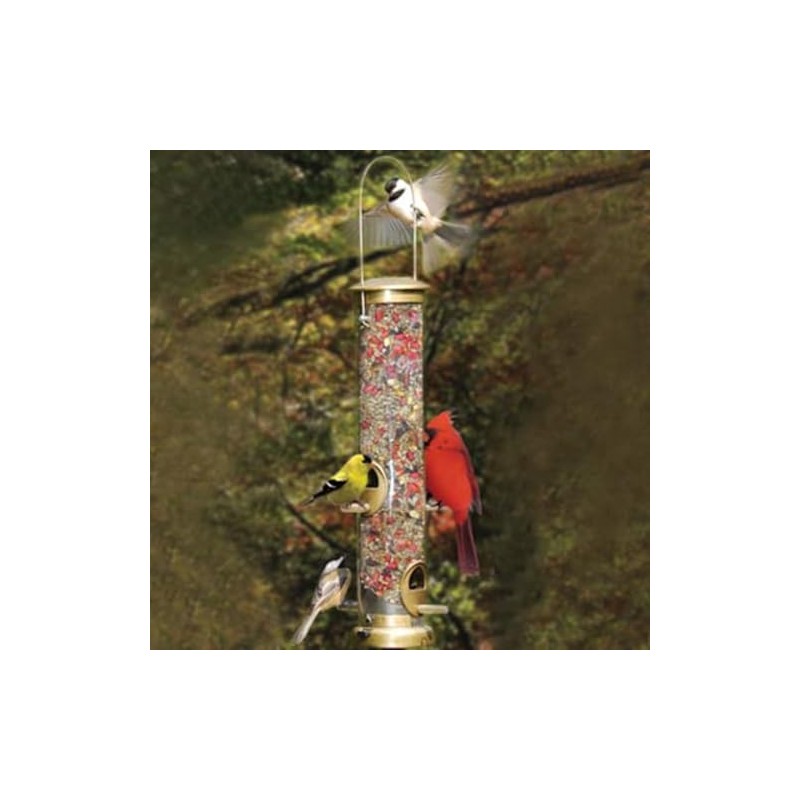 Cole's TT06 Terrific Tube Bird Feeder, 6-Port, Gold