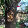 BTMIEY Old Man Tree Hugger, Amusing Unique Bird Feeders for