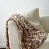 Bernat Blanket Yarn, Taupe