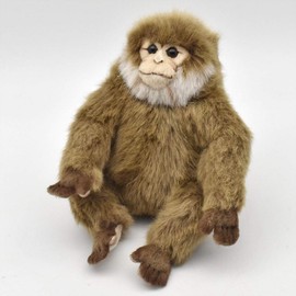 bh6319 hansa monkey 15