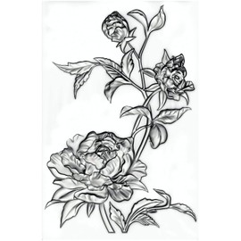 Sizzix Tim Holtz 3-D Texture Fades Embossing Folder Mini Roses 665632 Embossing Folder: PP Plastic, Multicoloured, One Size